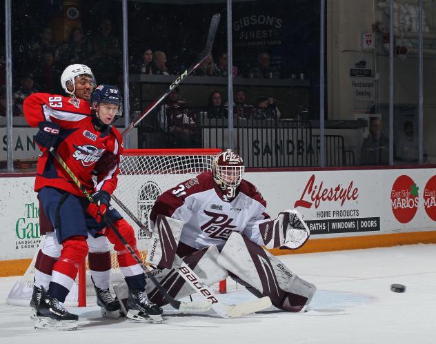 Windsor Spitfires' Owen Outwater and Peterborough Petes' Zachary Bowen in action