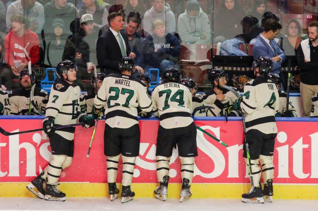 Utah Grizzlies along the bench