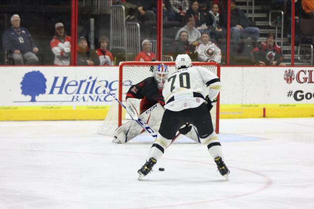 Wheeling Nailers forward Dillon Hamaliuk