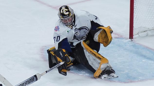 Jacksonville Icemen goaltender Matt Vernon