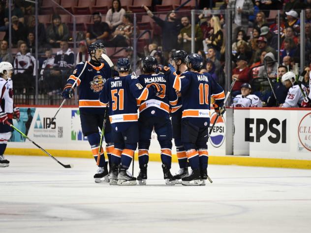 Greenville Swamp Rabbits huddle