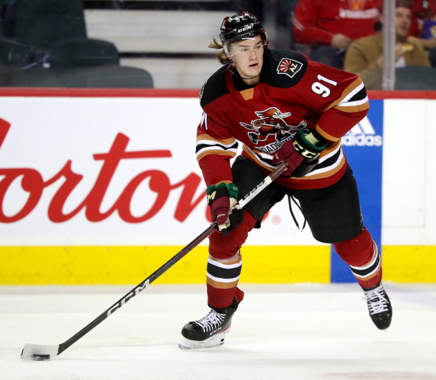 Tucson Roadrunners right wing Josh Doan