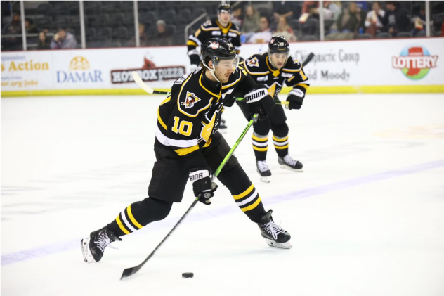 Wheeling Nailers' David Jankowski in action