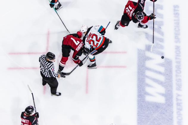 Kelowna Rockets' Gabriel Szturc battles Vancouver Giants' Ty Halaburda
