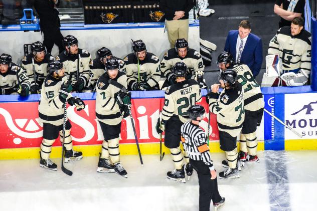 Utah Grizzlies along the bench