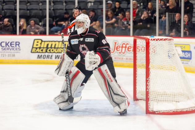 Birmingham Bulls goaltender Hayden Stewart