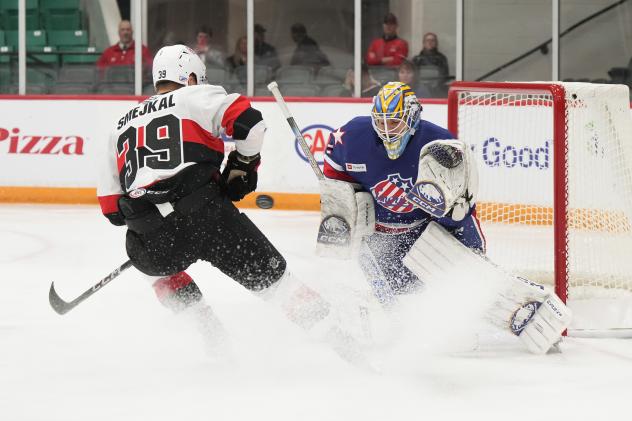 Belleville Senators' Jiri Smejkal battles Rochester Americans' Devon Levi