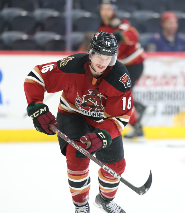 Tucson Roadrunners forward Ryan McGregor