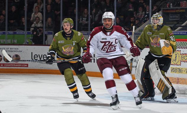 Peterborough Petes' Donovan McCoy and North Bay Battalion's Charlie Robertson and Paul Christopoulos on the ice