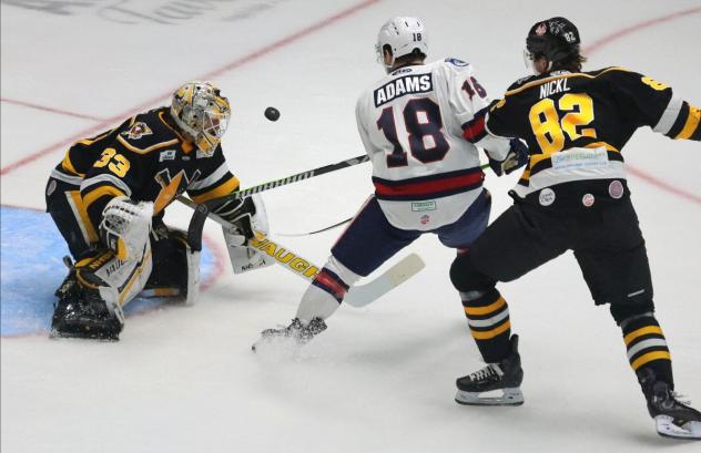 Wheeling Nailers goaltender Taylor Gauthier turns away the Kalamazoo Wings