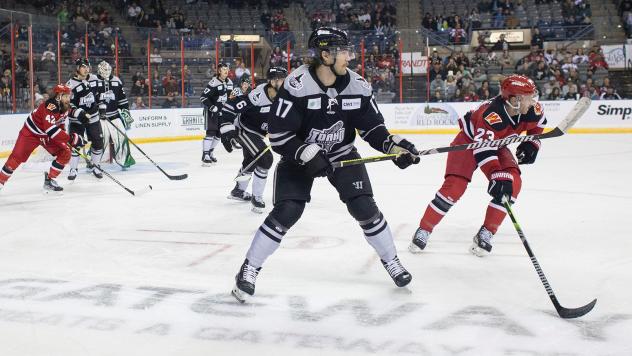 Idaho Steelheads forward Ty Pelton-Byce