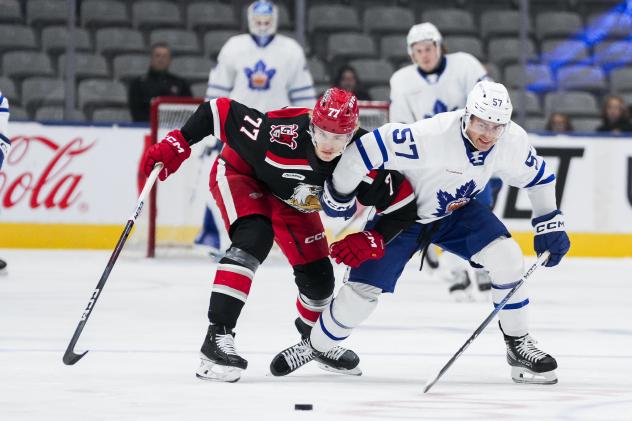 Grand Rapids Griffins' Simon Edvinsson battles Toronto Marlies' Dylan Gambrell