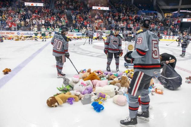 Rockford IceHogs' Teddy Bear Toss