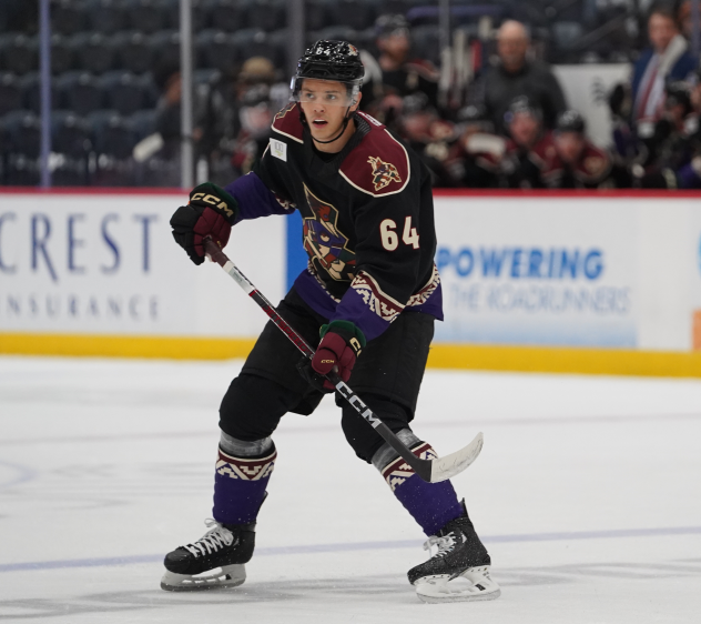 Tucson Roadrunners defenseman Patrik Koch