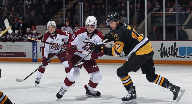 Peterborough Petes' Ryder McIntyre and Braydon McCallum and Brantford Bulldogs' Masen Wray in action