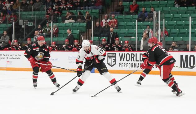 Grand Rapids Griffins' Nolan Stevens and Eemil Viro battle Belleville Senators' Egor Sokolov