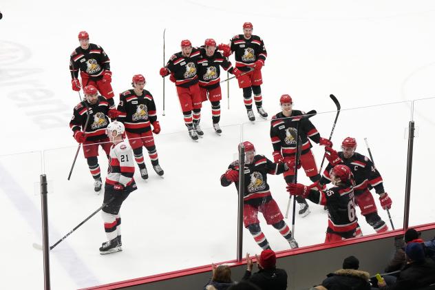 Grand Rapids Griffins celebrate win