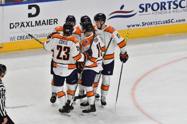 Greenville Swamp Rabbits huddle up