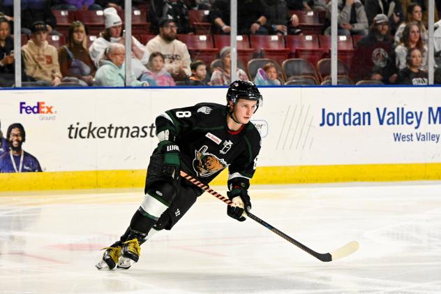 Utah Grizzlies forward Patriks Marcinkevics