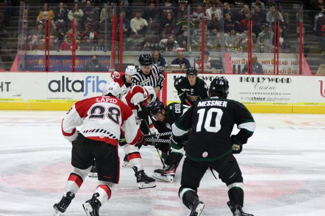 Cincinnati Cyclones' Lee Lapid and Utah Grizzlies' Mick Messner on the ice