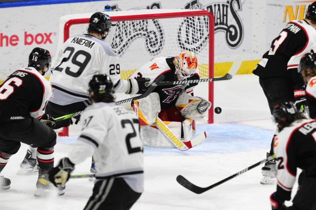 Rapid City Rush battle the Idaho Steelheads