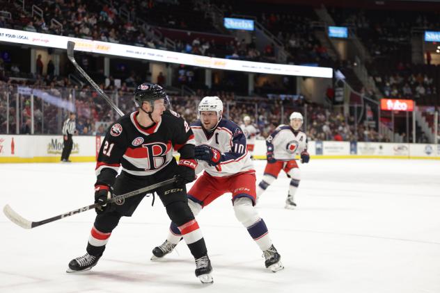 Belleville Senators' Maxence Guenette versus Cleveland Monsters' Brendan Gaunce