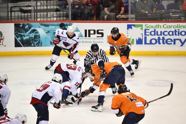 Greenville Swamp Rabbits battle the South Carolina Stingrays