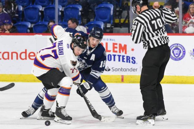 Reading Royals' Devon Paliani battles Worcester Railers' Jake Pivonka