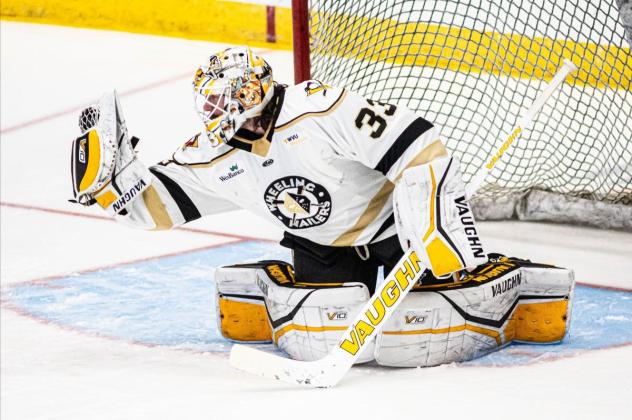 Wheeling Nailers goaltender Taylor Gauthier makes a glove save