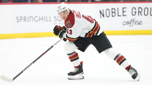 Tucson Roadrunners left wing John Leonard