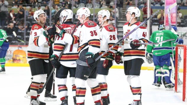 Tucson Roadrunners celebrate a goal