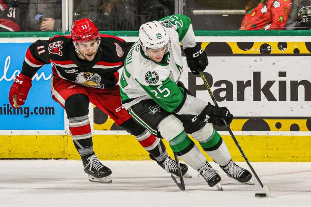 Grand Rapids Griffins' Joel L'Esperance battles Texas Stars' Christian Kyrou
