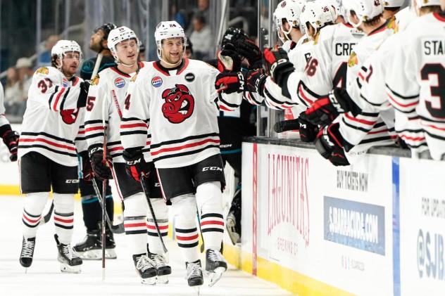 Rockford IceHogs exchange fist bumps along the bench