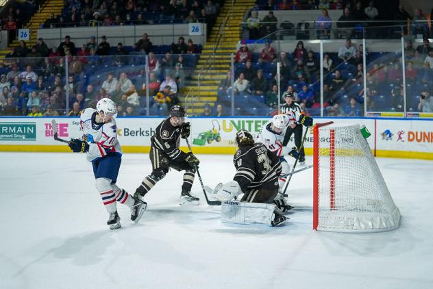 Springfield Thunderbirds battle the Hershey Bears