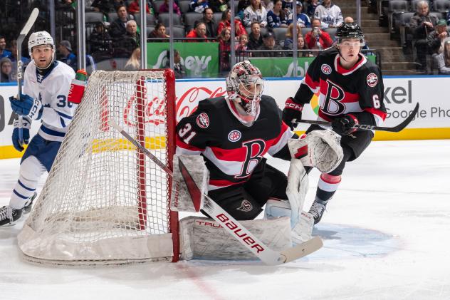 Belleville Senators goaltender Kevin Mandolese vs. the Toronto Marlies