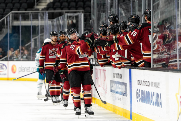 Tucson Roadrunners exchange fist bumps along the bench