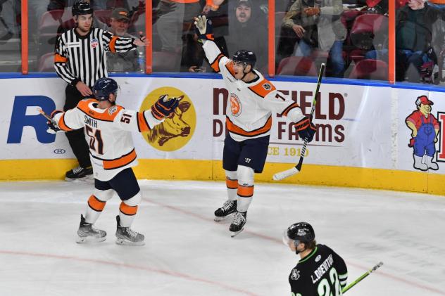Greenville Swamp Rabbits celebrate a goal