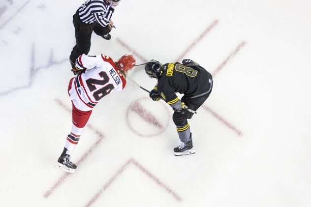 Rapid City Rush's Logan Nelson versus Iowa Heartlanders' Casey Dornbach