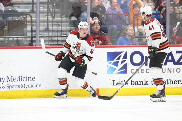 Tucson Roadrunners' John Leonard and Austin Pogansk on game night