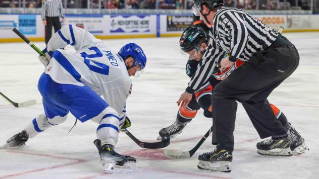 Wichita Thunder forward Jason Pineo faces off with the Kansas City Mavericks