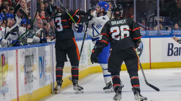 Wichita Thunder defenseman Xavier Pouliot (#81) battles the Kansas City Mavericks