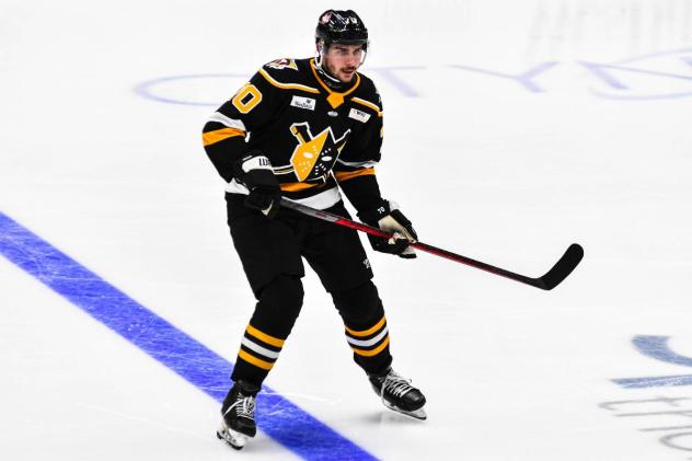 Wheeling Nailers forward Dillon Hamaliuk