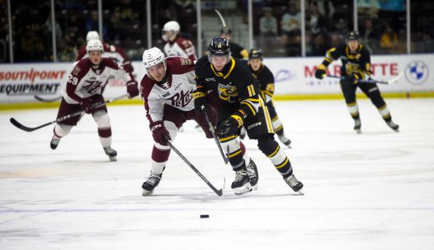 Peterborough Petes' Cam Gauvreau versus Sarnia Sting's Zach Filak