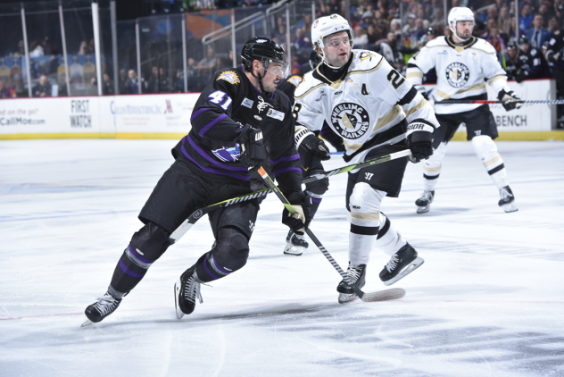 Orlando Solar Bears' Alexandre Fortin and Wheeling Nailers' Louie Roehl in action