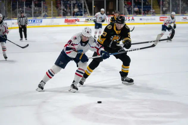Springfield Thunderbirds battle the Wilkes-Barre/Scranton Penguins