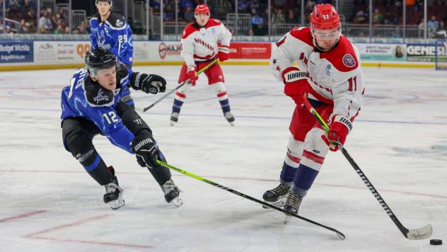 Wichita Thunder's Peter Bates and Allen Americans' Gavin Gould in action