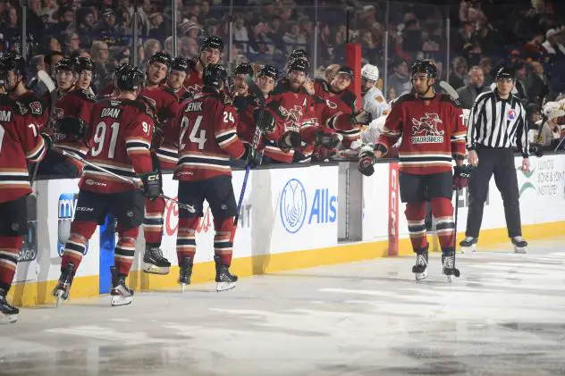 Tucson Roadrunners' Jan Jenik and Josh Doan congratulated by team