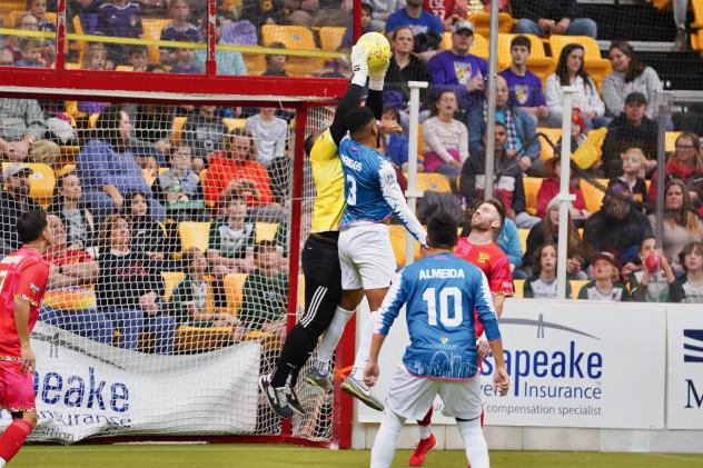 Baltimore Blast battle the St. Louis Ambush