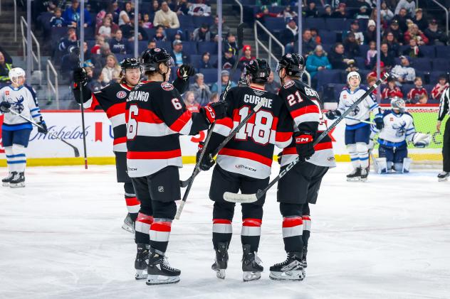 Belleville Senators celebrate a goal against the Manitoba Moose