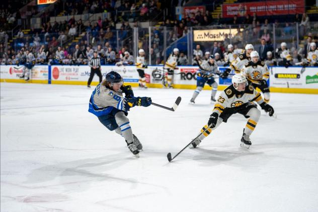 Springfield Thunderbirds' Adam Gaudette and Providence Bruins' Michael Callahan in action